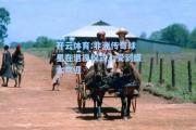 开云体育:非洲传奇球星在退役仪式上受到盛大欢迎