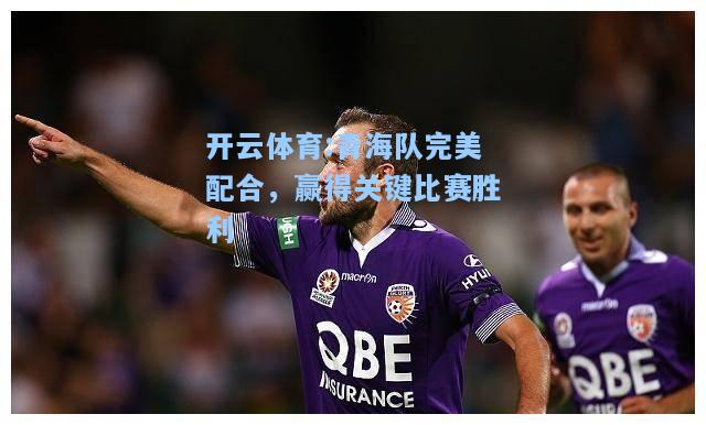 青海队完美配合，赢得关键比赛胜利