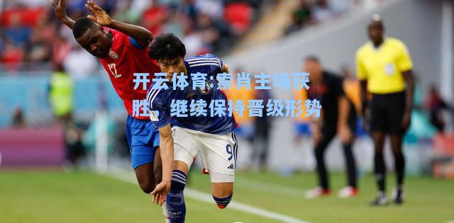 索肖主场获胜，继续保持晋级形势